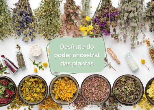 Banhos - O poder ancestral das plantas