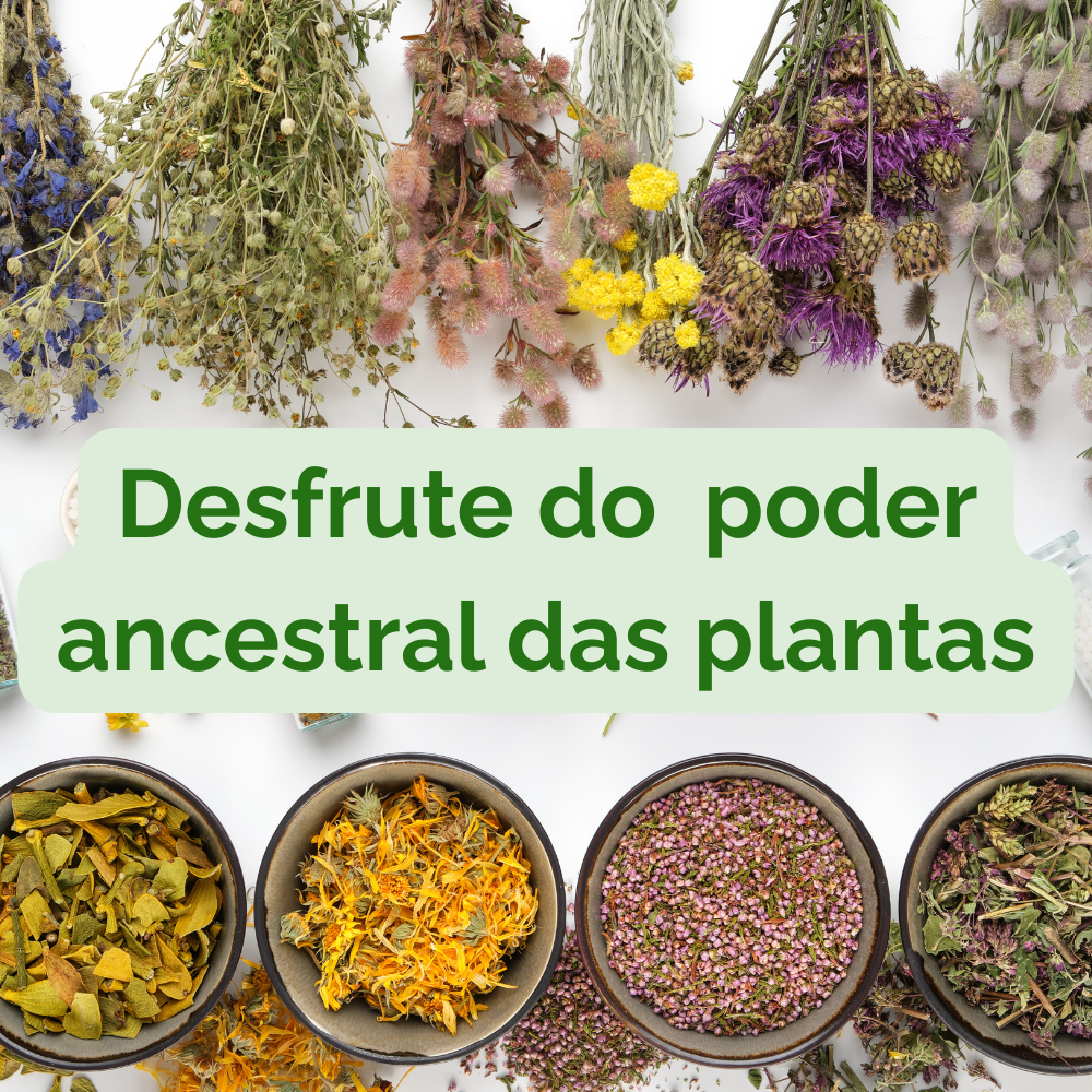 Bath Herbs for Body and Soul