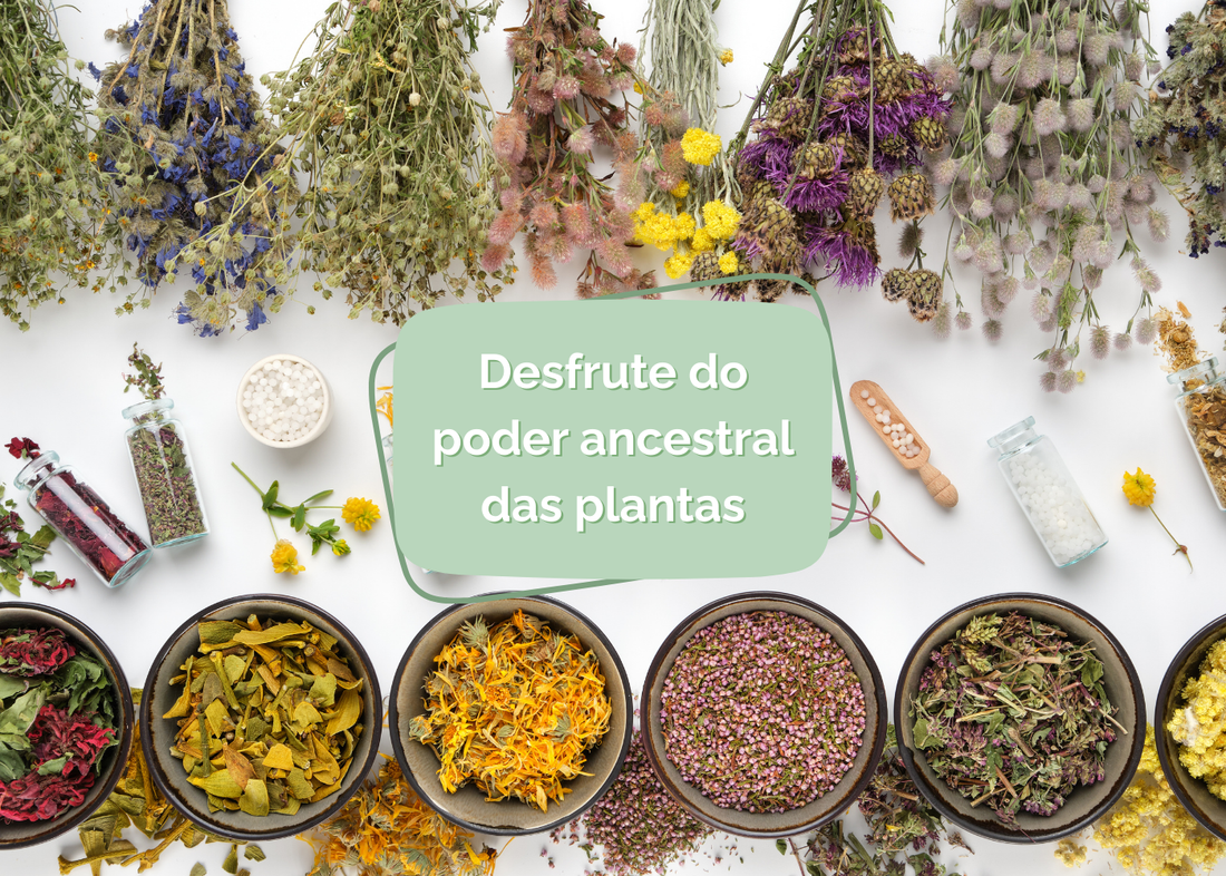Banhos - O poder ancestral das plantas